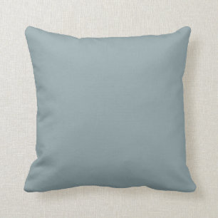 Duck egg blue decorator colour throw pillow