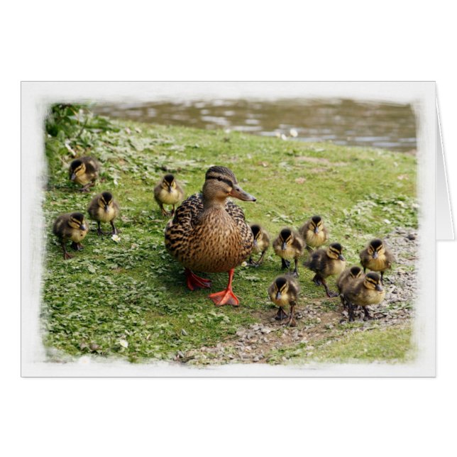 Duck Family Card (Front Horizontal)
