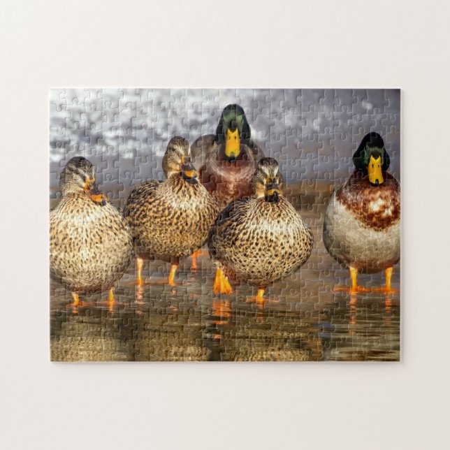 Duck Family Jigsaw Puzzle (Horizontal)
