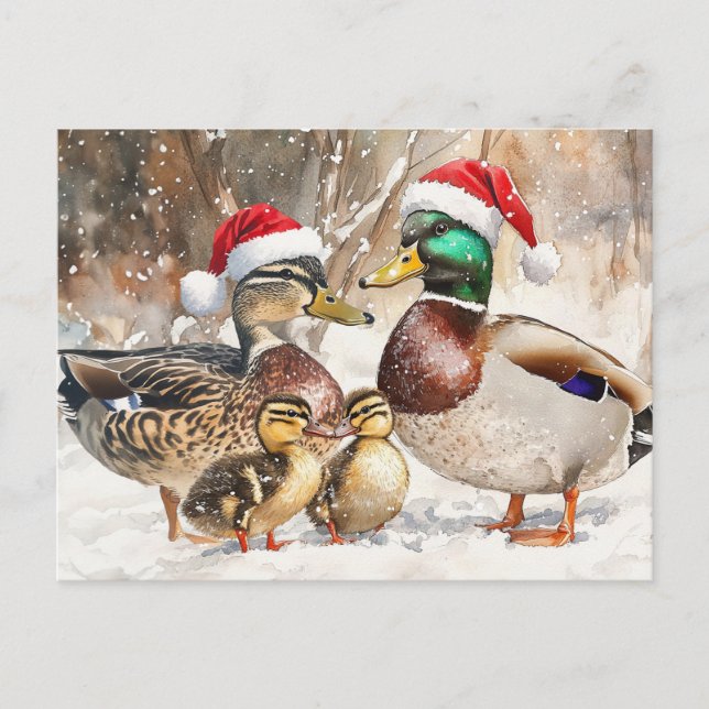 Duck Family Postcard (Front)