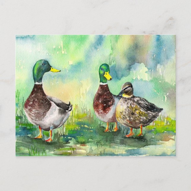 duck family postcard (Front)