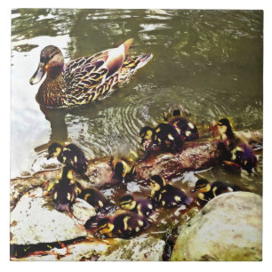 Duck Family Tile