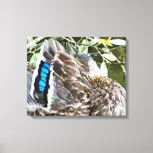 DUCK FEATHERS CANVAS PRINT