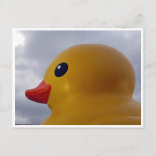 duck head postcard