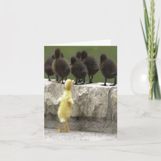 duck holiday card (Front)