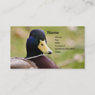 Duck Hunting Business Card