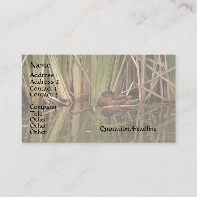 Duck in Reeds Business Card (Front)