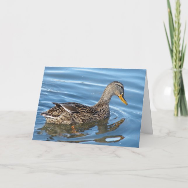 Duck in Water Card (Front)