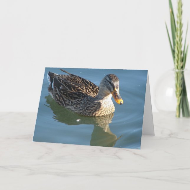 Duck in Water Card (Front)