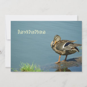 Duck Invitation