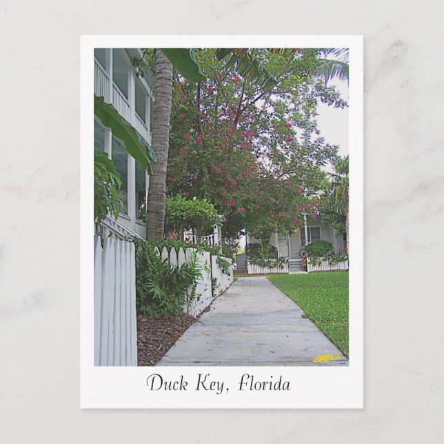Duck Key, Florida Postcard (Front)
