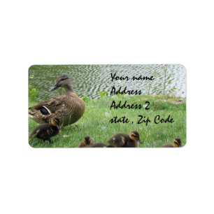 Duck mom and ducklings label