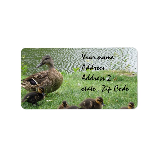Duck mom and ducklings label (Front)
