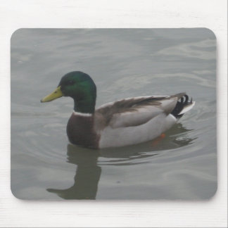 Duck Mouse Pad