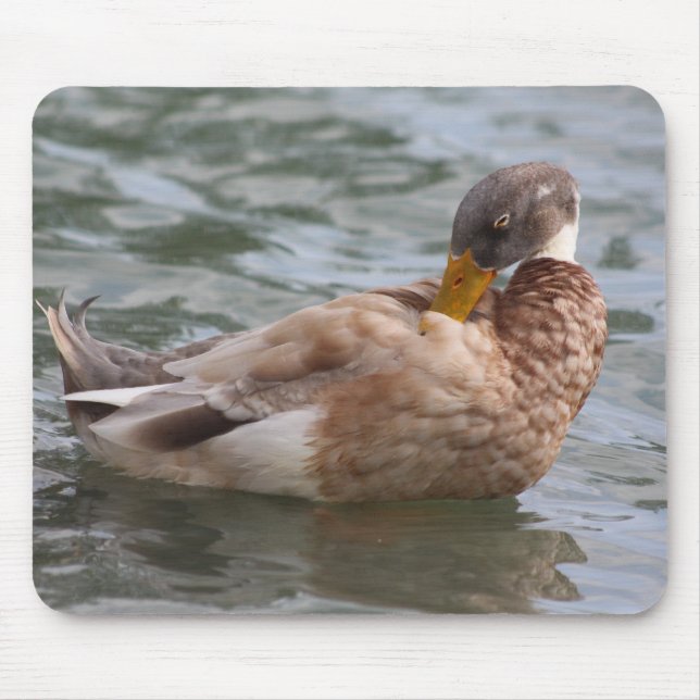 Duck mousepad (Front)
