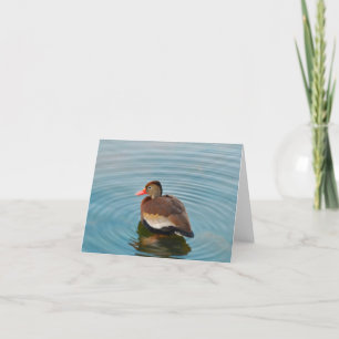 Duck Note Card (blank)