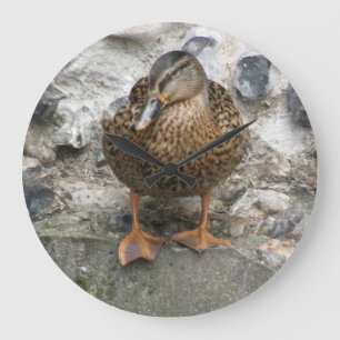 Duck on a Wall Clock