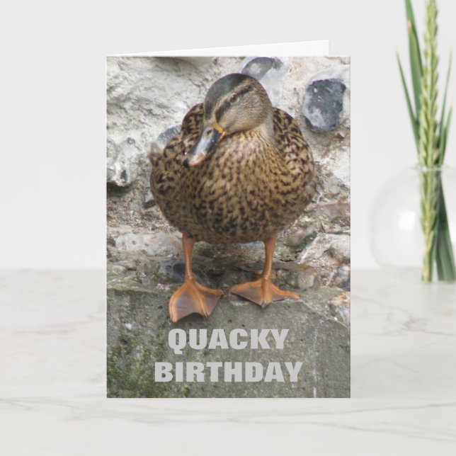 Duck on a Wall Funny Custom Birthday Card (Front)