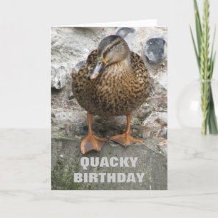 Duck on a Wall Funny Custom Birthday Card