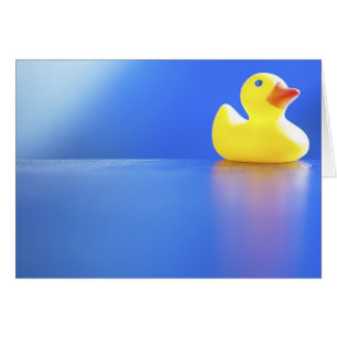 Duck on Blue