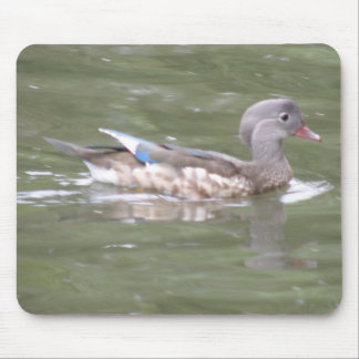 Duck on the Lake Mousepad