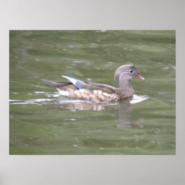 Duck on the Lake Print (Front)