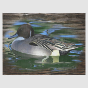 Duck On The Lake Tissue Paper