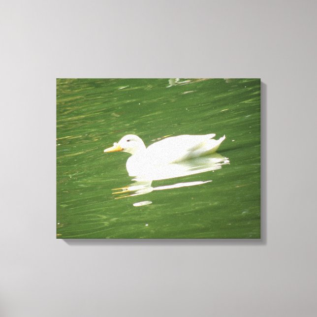 Duck on the Water Canvas Print (Front)