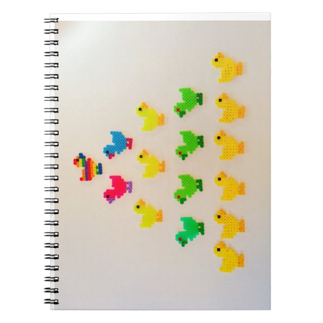 Duck parade notebook (Front)