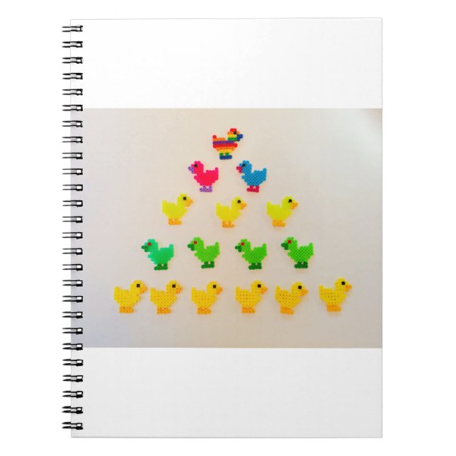 Duck parade notebook (Front)