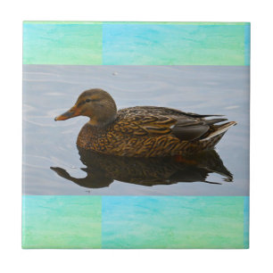 Duck Photo Ceramic Tile