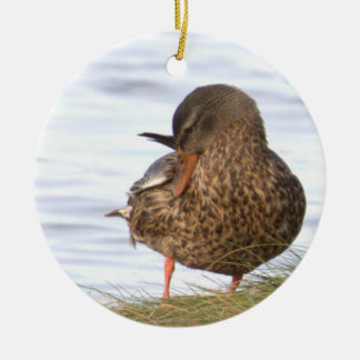 Duck Photo Ornament