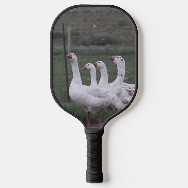 Duck Pickleball Paddle (Front)