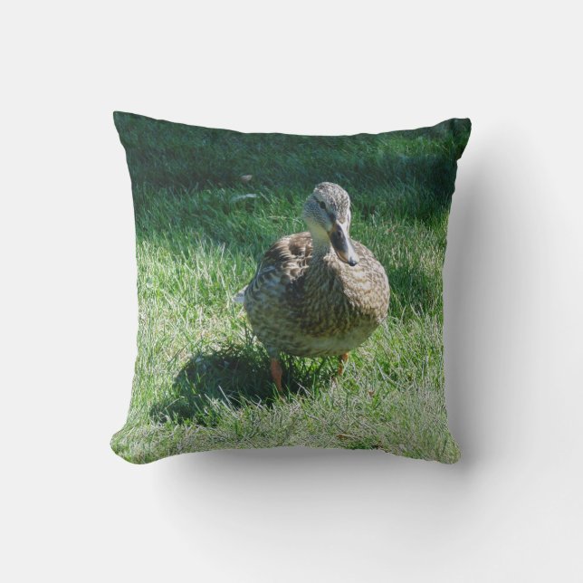 duck pillow (Front)