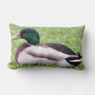 Duck Pillow