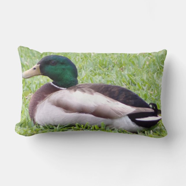 Duck Pillow (Front)