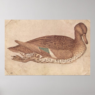 Duck - Pisanello - c1440 Poster