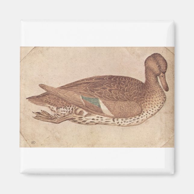 Duck - Pisanello Magnet (Front)