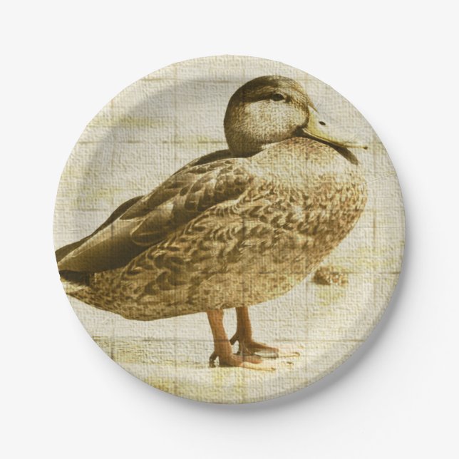 Duck Plate (Front)