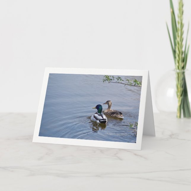 Duck Pond Greeting Card (Front)