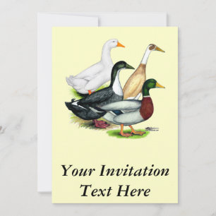 Duck Quartet Invitation