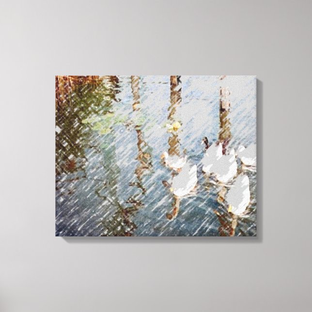 Duck Reflections ll Canvas Print (Front)