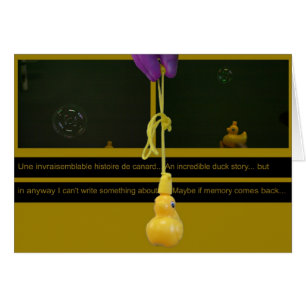 Duck Story ou une histoire invraisemblable