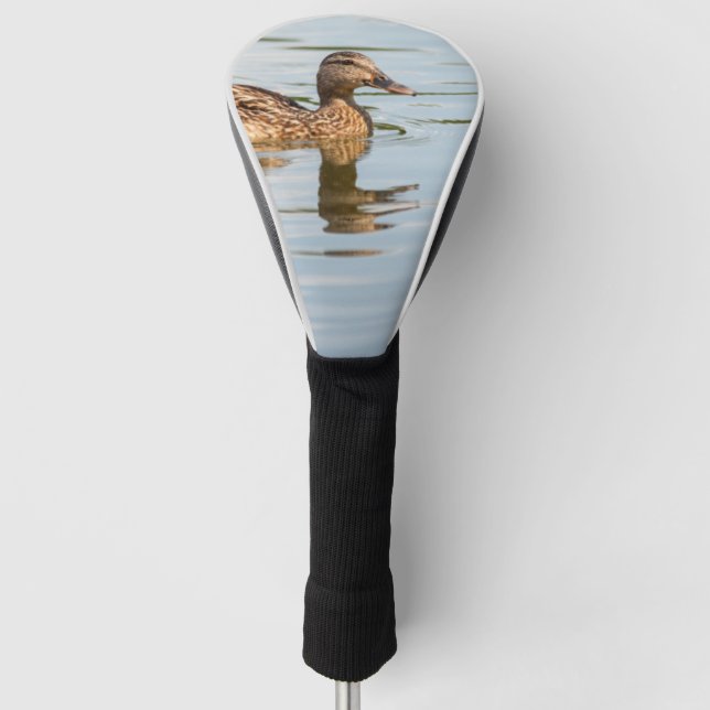 Duck Swimming Golf Head Cover (Front)