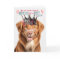 Duck Tolling Retriever Queen Day Funny Birthday