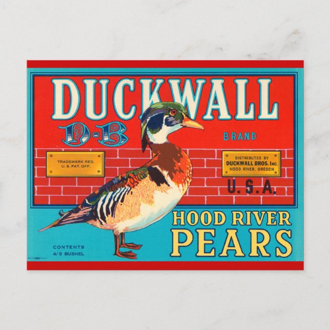 Duck Wall Hood River Pears Vintage Advertisement Postcard (Front)