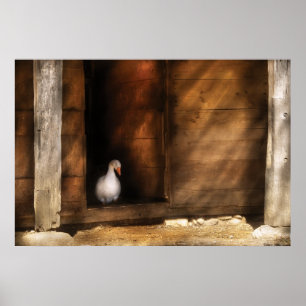 Duck - Welcome to my Home Poster