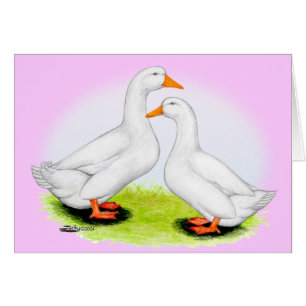 Duck: White Pekins