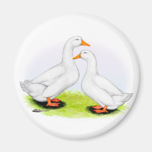 Duck: White Pekins Magnet