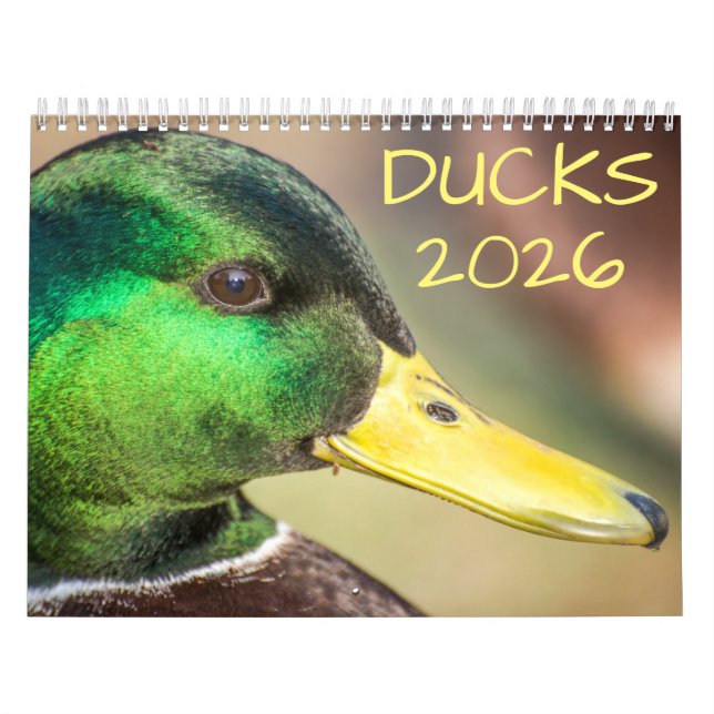 Duck Wildlife Photography Calendar (Cover)